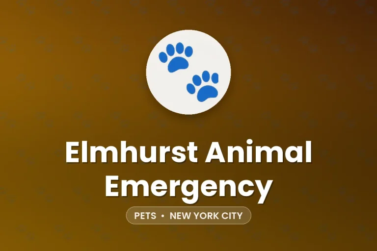 Elmhurst Animal Emergency – New York City