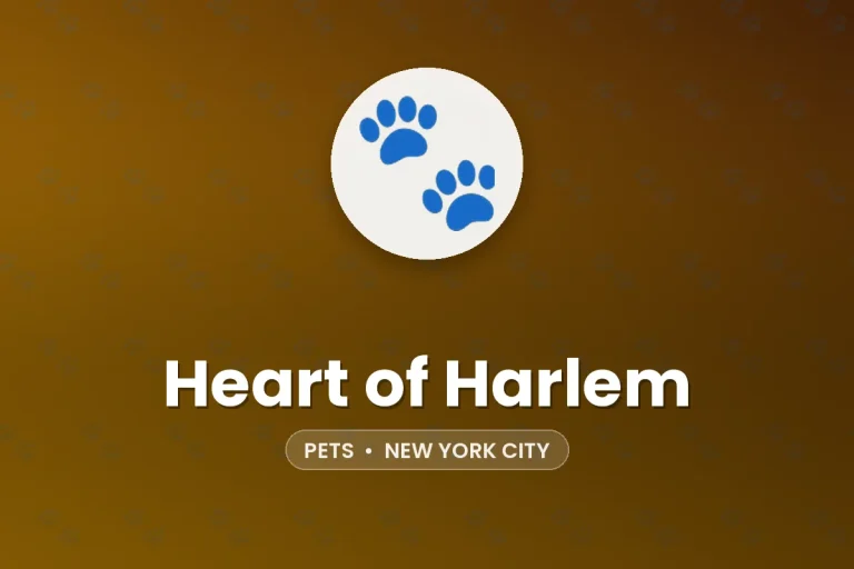 Heart of Harlem – New York City