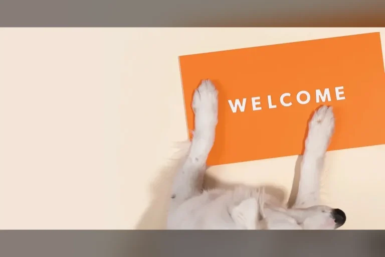Small Door Veterinary logo