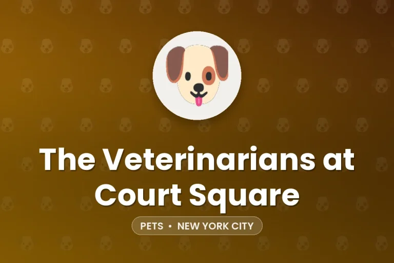 The Veterinarians at Court Square – New York City
